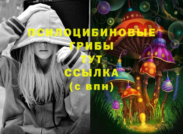 скорость Белокуриха