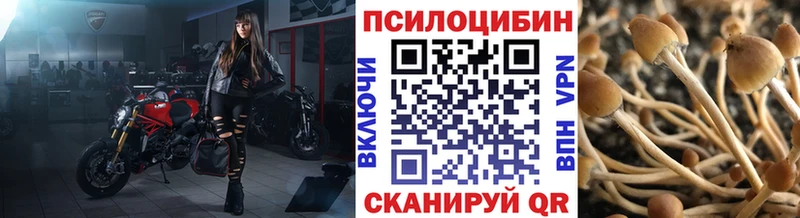 Псилоцибиновые грибы GOLDEN TEACHER Набережные Челны