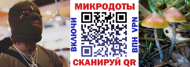 Псилоцибиновые грибы Cubensis  Набережные Челны 