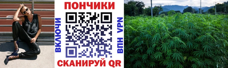 kraken как зайти  Набережные Челны  МАРИХУАНА Bruce Banner 